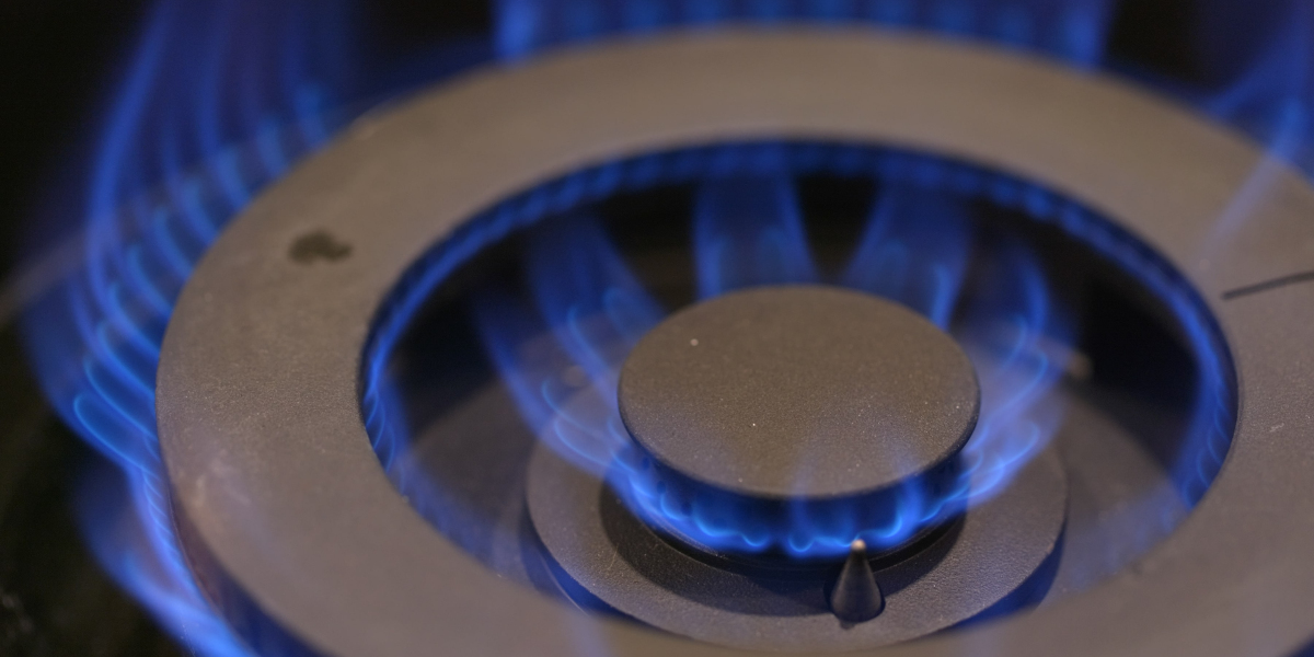 The Reasons You'll Want To Learn More About Gas Safety Certificate Check